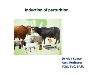 Induction of Parturition: Protocols and Considerations