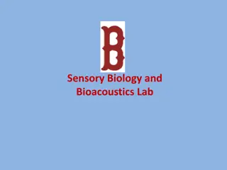 Bioacoustics Lab and Wicked Awesome Science