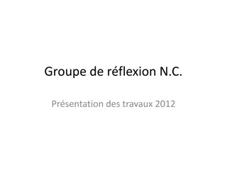 Reflection Group N.C. Presentation of Works 2012