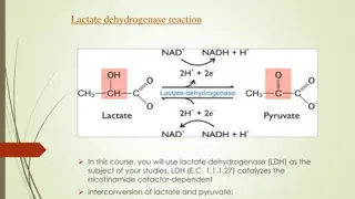 Enzyme Activity and Substrate Concentration