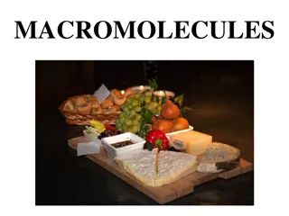 Macromolecules and Energy from Food