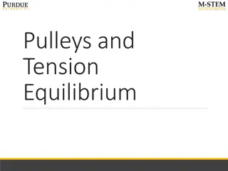 Pulleys and Tension Equilibrium in Physics