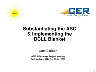 Implementing DCLL Blanket Lane Carlson ARIES Pathways Project