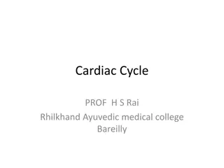 Cardiac Cycle and its Stages