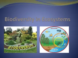 Importance of Biodiversity and Sustainability