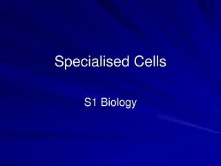 Exploring Specialised Cells in Biology
