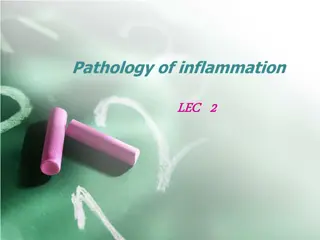 Steps to Unveiling Disease Causes