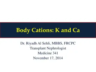 Importance of Potassium (K) in the Body