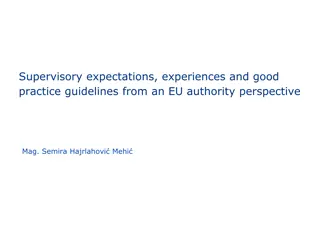 EU Authority Guidelines: Supervisory Expectations & Best Practices