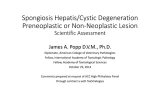 Spongiosis Hepatis/Cystic Degeneration Assessment