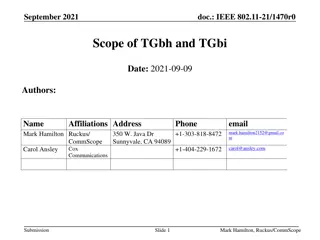 Scope of TGbh and TGbi in IEEE 802.11-21