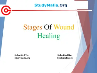 Phases of Wound Healing Process