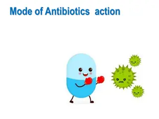 Antibiotics Action Mechanisms and Examples