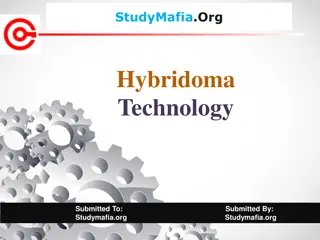 Hybridoma Technology: History, Steps, and Applications