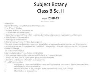 Probability Distributions in Statistical Learning