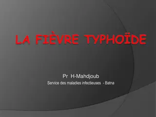 Typhoid Fever: Causes, Symptoms, and Prevention