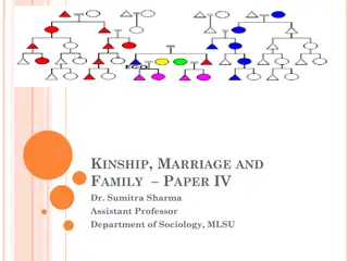 Kinship, Marriage, and Family Patterns Explored