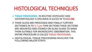 Tissue Processing Techniques in Histology