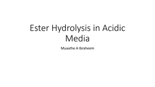 Ester Hydrolysis in Acidic Media - Procedure and Kinetics
