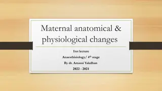 Maternal Anatomical and Physiological Changes During Pregnancy