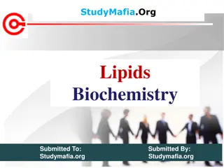 Comprehensive Overview of Lipids in Biochemistry