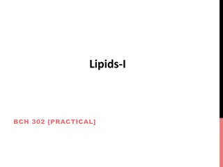 Essential Insights on Lipids and Their Functions