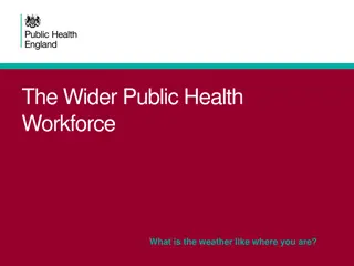 The Wider Public Health Workforce Insights