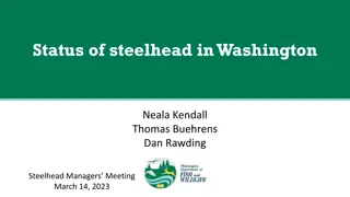 Steelhead Population Status and Threats in Washington State