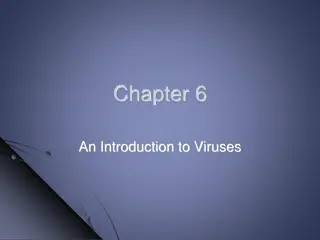 Introduction to Viruses: Structure, Infection & Medical Considerations