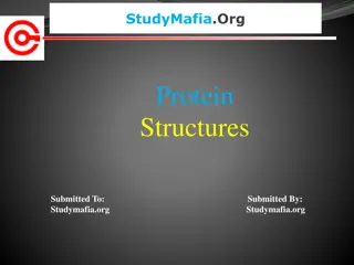 Protein Structures: Levels and Determination