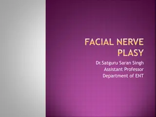 Facial Nerve Palsy and Intratemporal Anatomy Overview