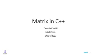 Current ML-Related C++ Proposals on Matrix Extensions