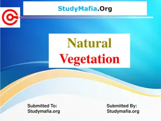 Natural Vegetation and Wildlife Diversity in India