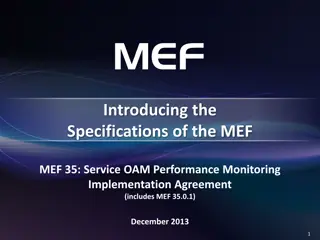MEF Specifications Overview