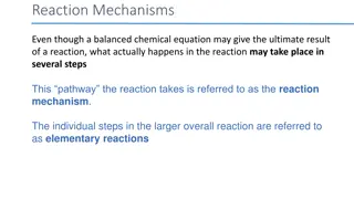 Reaction Mechanisms