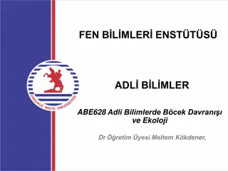 Adli Bilimlerde Böcek Davranışları ve Ekoloji Dersi İçeriği