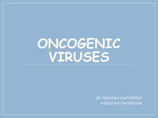 Viral Oncogenesis and Host Cell Regulation