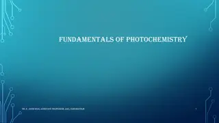 Understanding Hydatid Disease and Amoebiasis