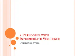 Dermatophytes and Tinea Infections