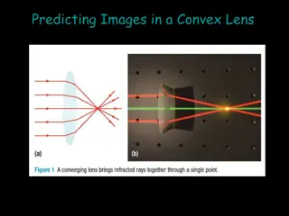 Image Formation in Convex and Concave Lenses