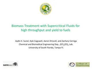 Supercritical Fluids for Biomass Treatment and Fuel Production