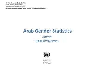 Gender Statistics Frameworks and Guidelines for Data Revolution