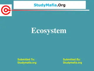 Ecosystems: Structure, Functions, and Types
