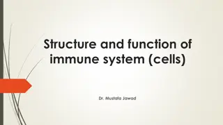 Structure and Function of Immune System Cells - Overview by Dr. Mustafa Jawad