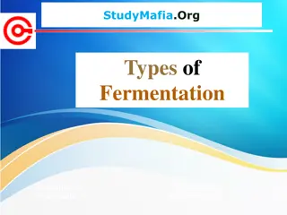The Types of Fermentation Process