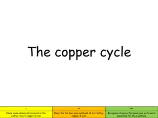 Chemical Extraction of Copper and Iron: Methods and Reactions