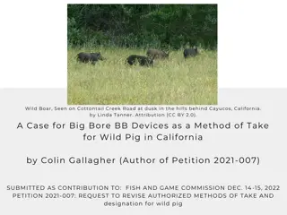 Request to Amend California Big Game Hunting Regulations for Wild Pig Take