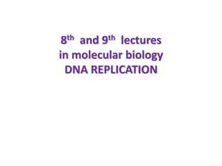 DNA Replication: Key Concepts and Enzymes