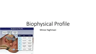 Biophysical Profile for Antepartum Fetal Assessment