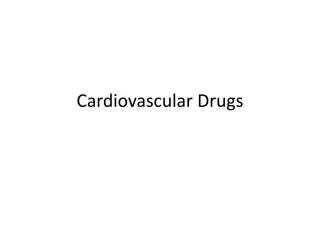 Blood Pressure: Essential Information on Cardiovascular Health